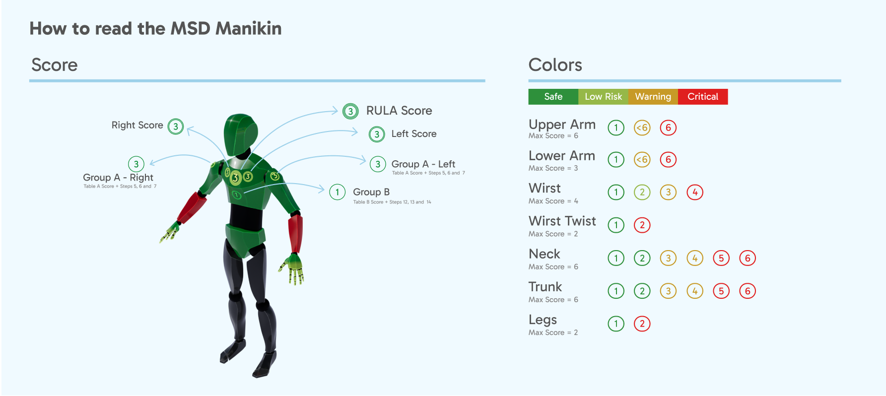 manikin MSD